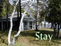 Stay