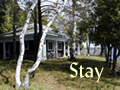 Stay