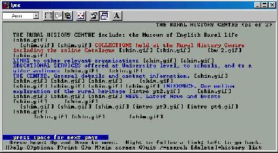 Fig. 4: Redirected homepage using the text-based Lynx browser