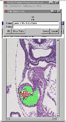 fig1