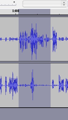 Fig 7: Audacity with an area of the recording selected