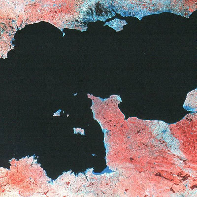 False colour landsat image